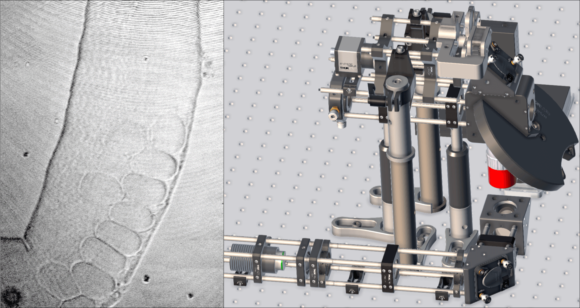 Multimodal imaging system: Bachelor’s thesis at EAH Jena combines OCT and fluorescence microscopy