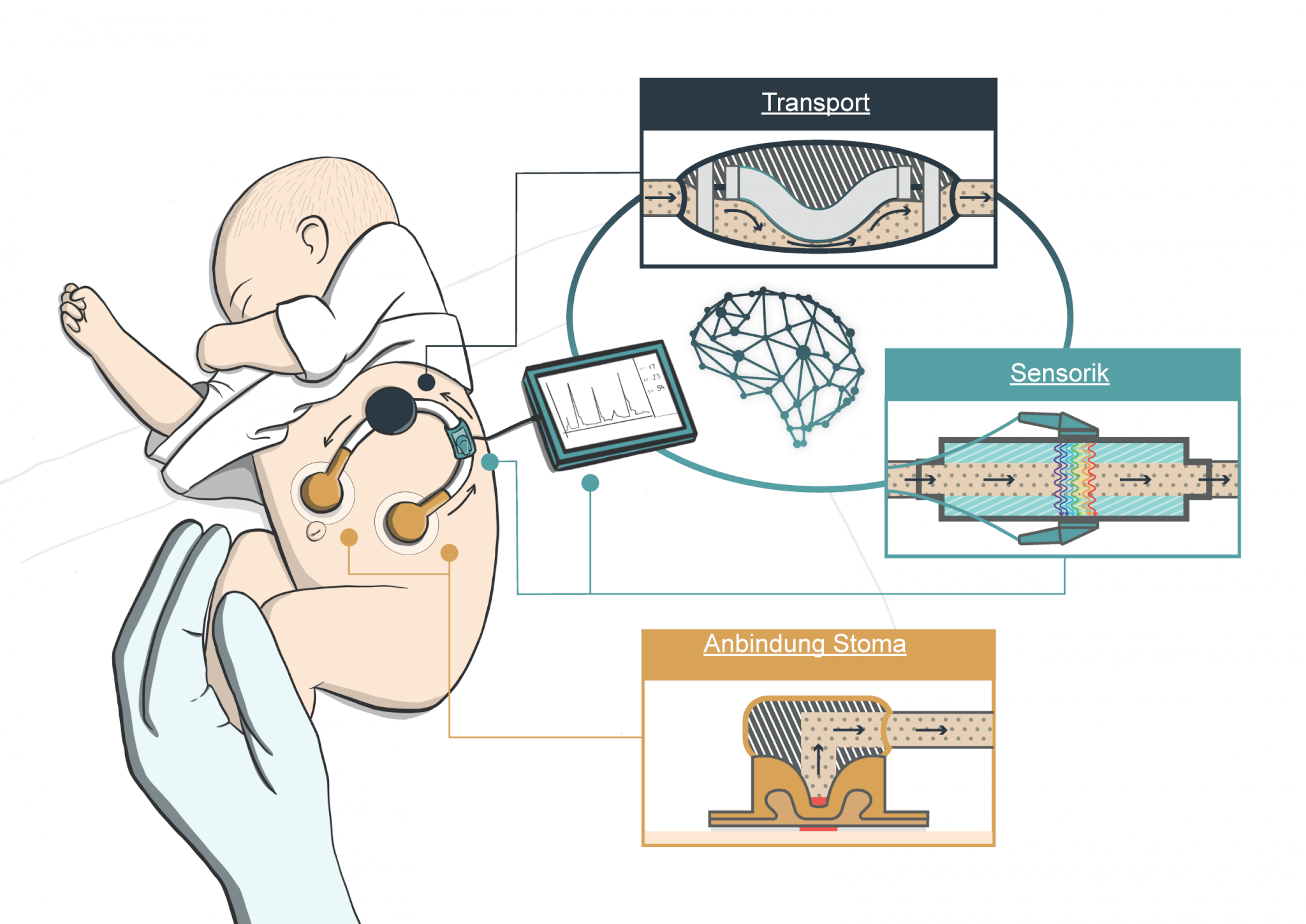 CZS Wildcard Network Meeting 2024: Exchange of unconventional research ideas